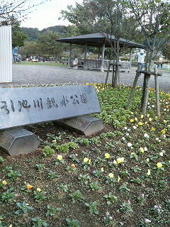 a0136253_10471849.jpg