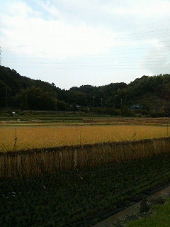 a0136253_11274859.jpg