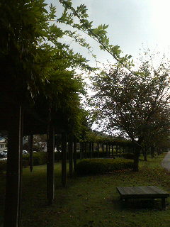a0136253_1183382.jpg
