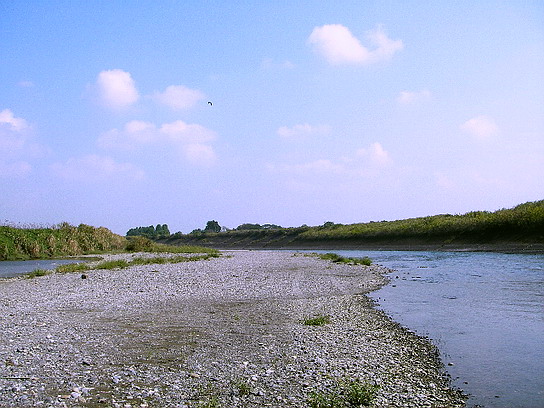 f0084561_1281677.jpg