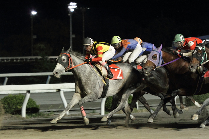 2010年10月17日（日） 高知競馬 10R 檮原千枚田特別 B-1 選抜馬_a0077663_22343257.jpg