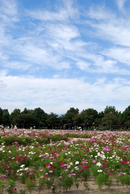 b0165872_1843128.jpg