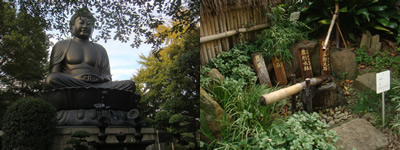 秋晴れで (板橋区)_d0132289_0121519.jpg