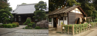 秋晴れで (板橋区)_d0132289_0221359.jpg