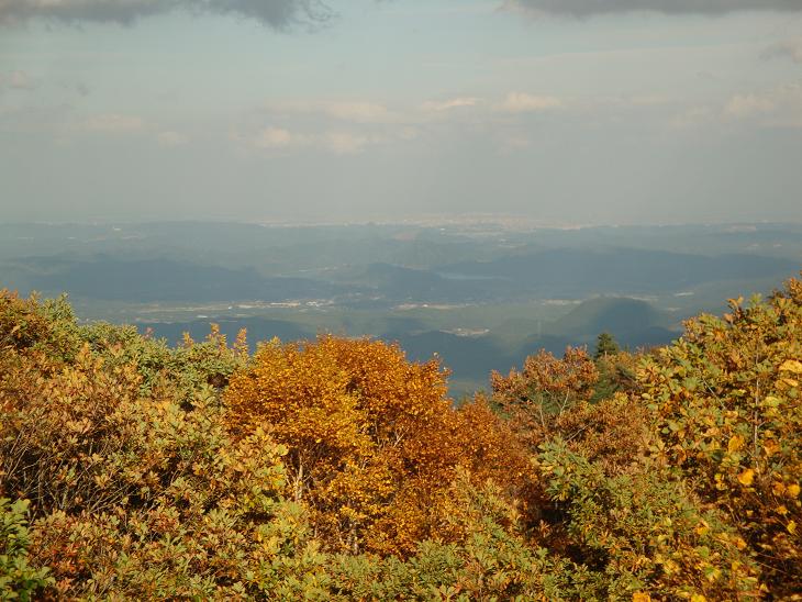 f0075595_0265318.jpg