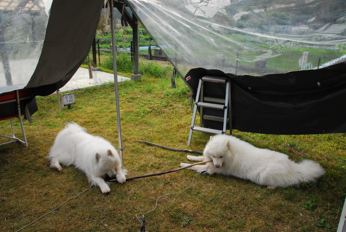 行ってきました！　余呉湖キャンプ場。_a0049296_18551172.jpg