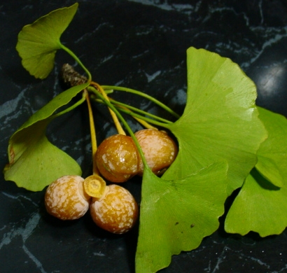 a0031000_8483710.jpg