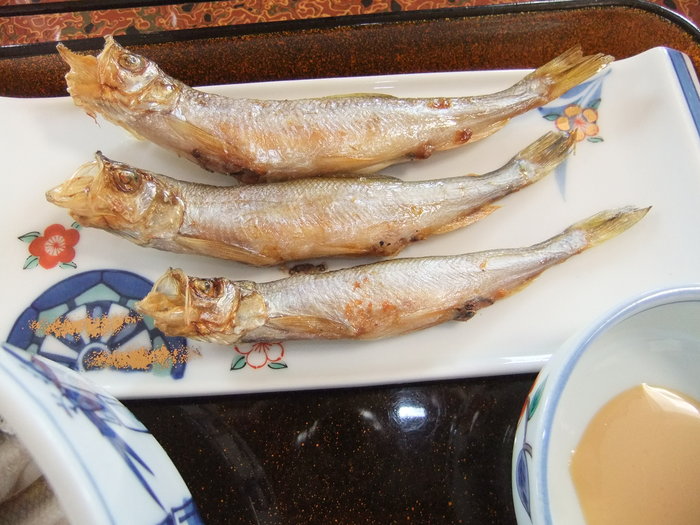 鵡川シシャモを食べに行こう ツー!!_c0226202_6473867.jpg