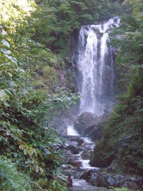 a0139908_1224960.jpg