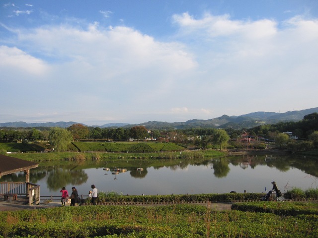 トライプと奈良の公園_d0081210_2343551.jpg