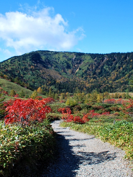 芳ヶ平の秋_c0177814_17385283.jpg
