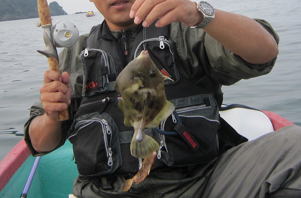 富浦 日の出ボートさん 長浦 こなや丸さんにての釣行 生き物と道具 by 千葉の千太郎 千葉千 富浦 日の出ボートさん 長浦 こなや丸さんにての釣行 生き物と道具 by 千葉の千太郎 千葉千