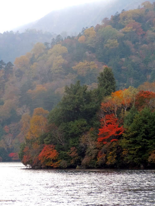 標高で変わる！紅葉グラデーション。_f0036716_0155316.jpg