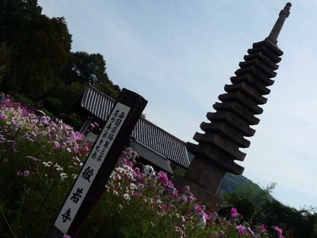 b0174217_22144481.jpg