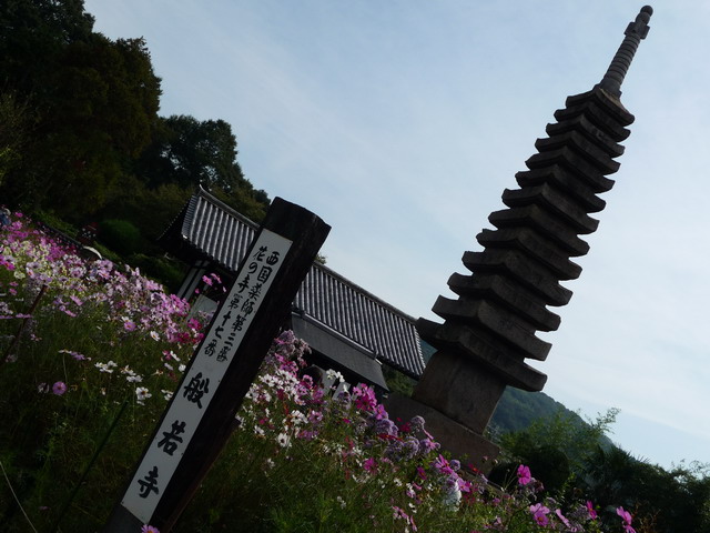 今日の　お散歩　（奈良／般若寺）_b0174217_22144481.jpg