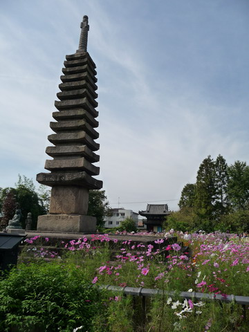 今日の　お散歩　（奈良／般若寺）_b0174217_2215110.jpg