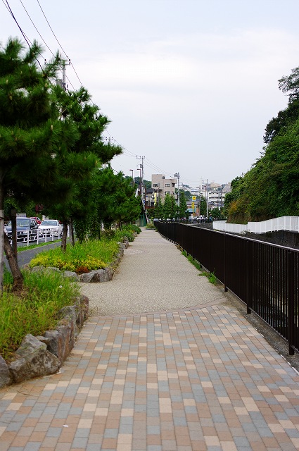 c0216518_21101591.jpg