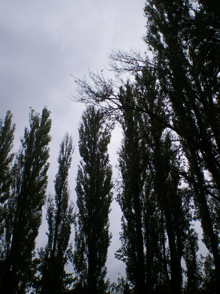 c0124619_2113281.jpg