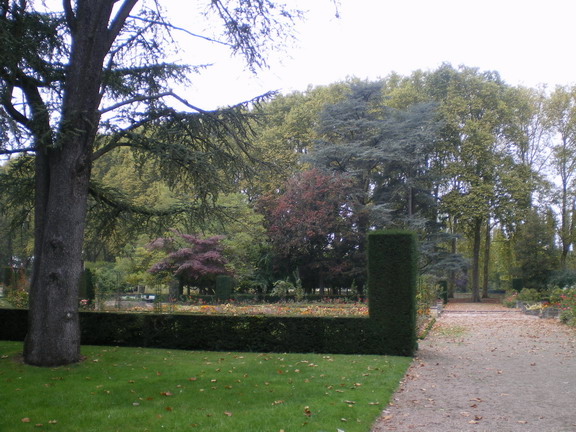 c0124619_211366.jpg