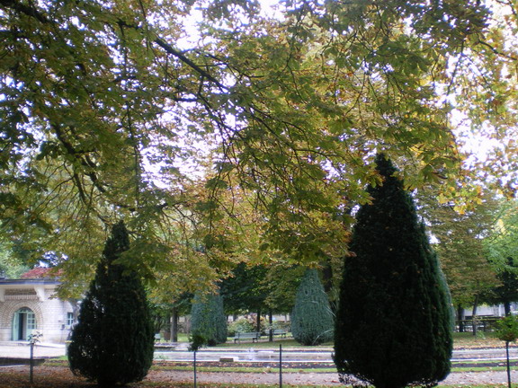 c0124619_212446.jpg