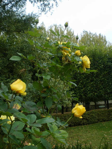 c0124619_2132489.jpg