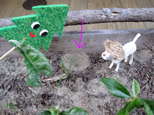 f0232920_1575525.gif