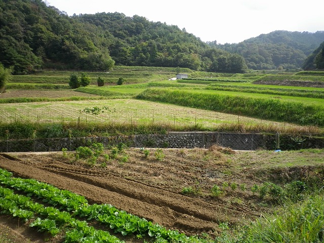 b0138522_2043232.jpg