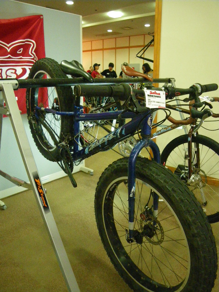 2011年　SalsaとSurly。_c0189724_1761423.jpg