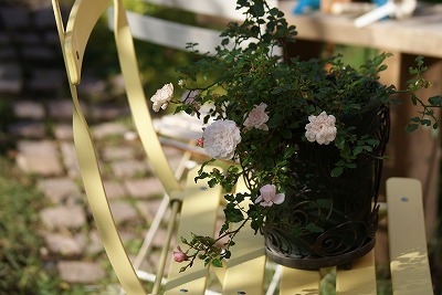 f0170524_1271471.jpg