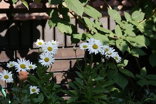 f0170524_1285766.jpg