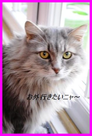 運命のお仕事ケータリング 21 お子様バースデーパーティー_d0104926_0251433.jpg