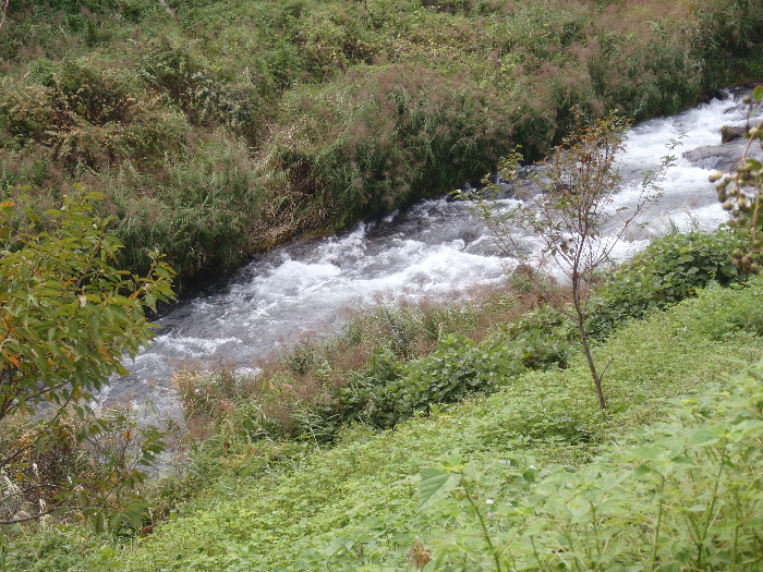 f0103126_2115533.jpg
