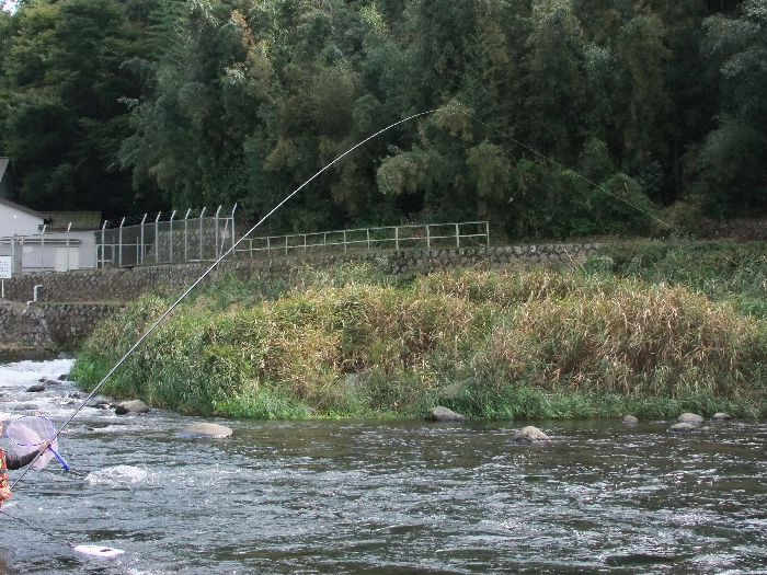 f0103126_21211562.jpg