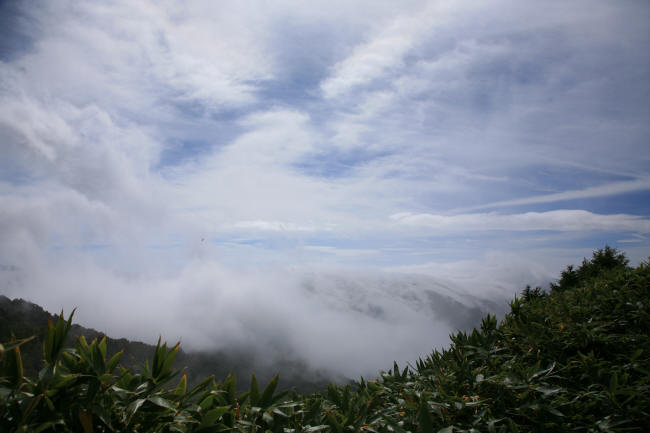f0017530_194602.jpg