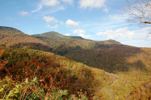 e0206031_72485.jpg