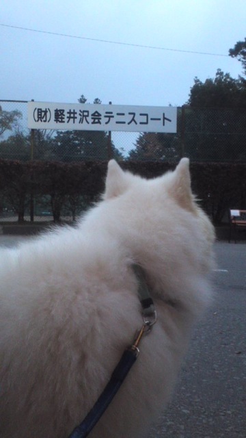軽井沢 その1_c0099133_001344.jpg