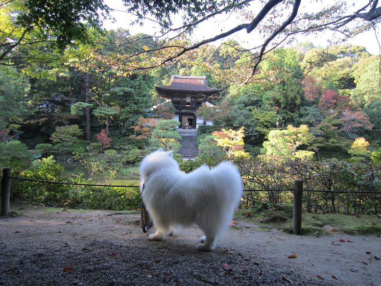 秋の奈良_b0177436_11585732.jpg
