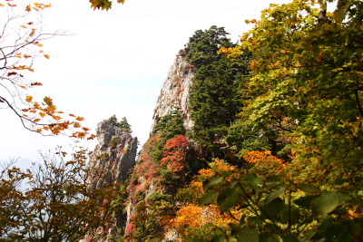 山上ガ岳　1719.2ｍ　　男達の世界　　　奈良県_d0055236_13131298.jpg