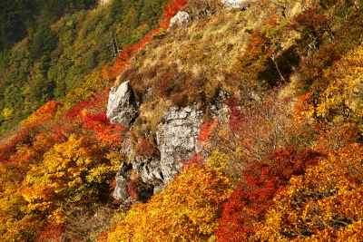 山上ガ岳　1719.2ｍ　　男達の世界　　　奈良県_d0055236_13141245.jpg