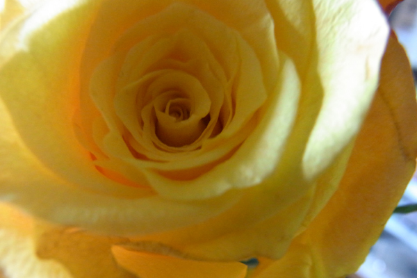 c0090139_13585334.jpg