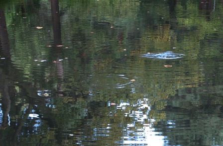 c0204740_21243416.jpg