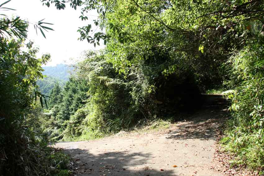 高越山登山・表参道・登り口～中の郷♪_d0058941_222653.jpg