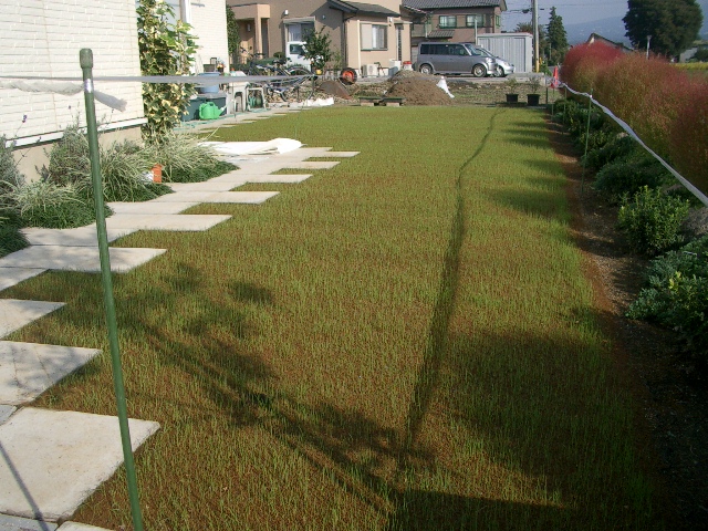 来年こそは・・・⑥_a0155844_1217866.jpg