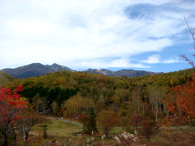 a0095746_0102829.jpg