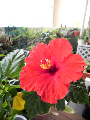 d0084750_0451384.jpg
