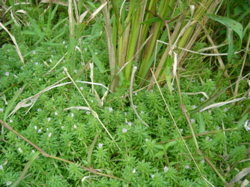 d0112350_01547.jpg