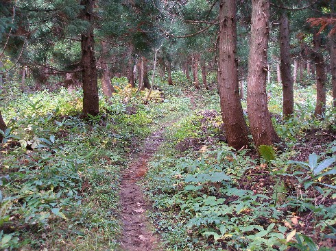 c0037553_66259.jpg