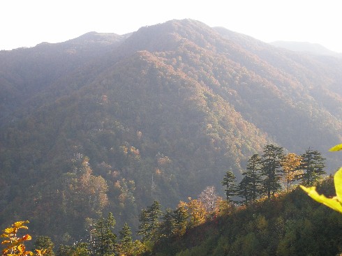 c0037553_68228.jpg