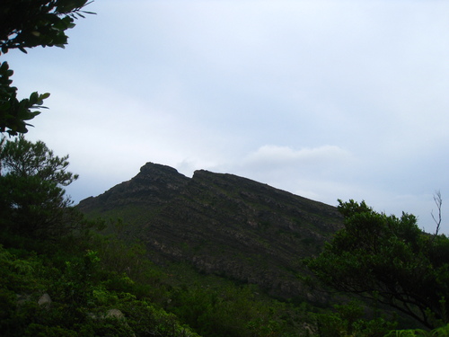 b0160957_16144966.jpg
