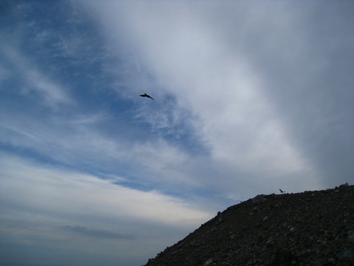 b0160957_16502231.jpg